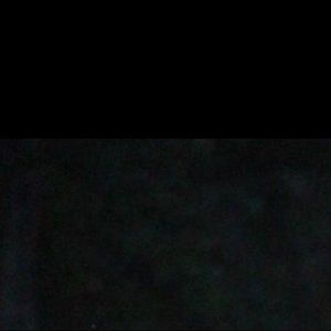 Meet your Posher, Baylor